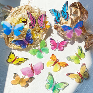 Butterfly Hair Clips for Girls Kids